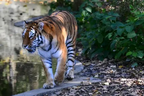 zoo di monaco