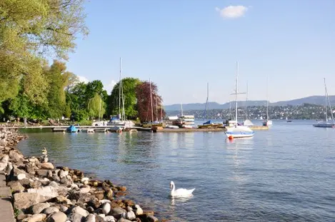 Zürichhorn il corno di zurigo